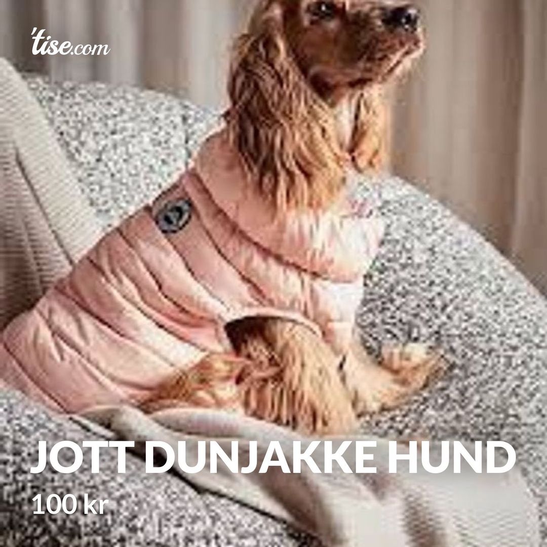 Jott dunjakke hund