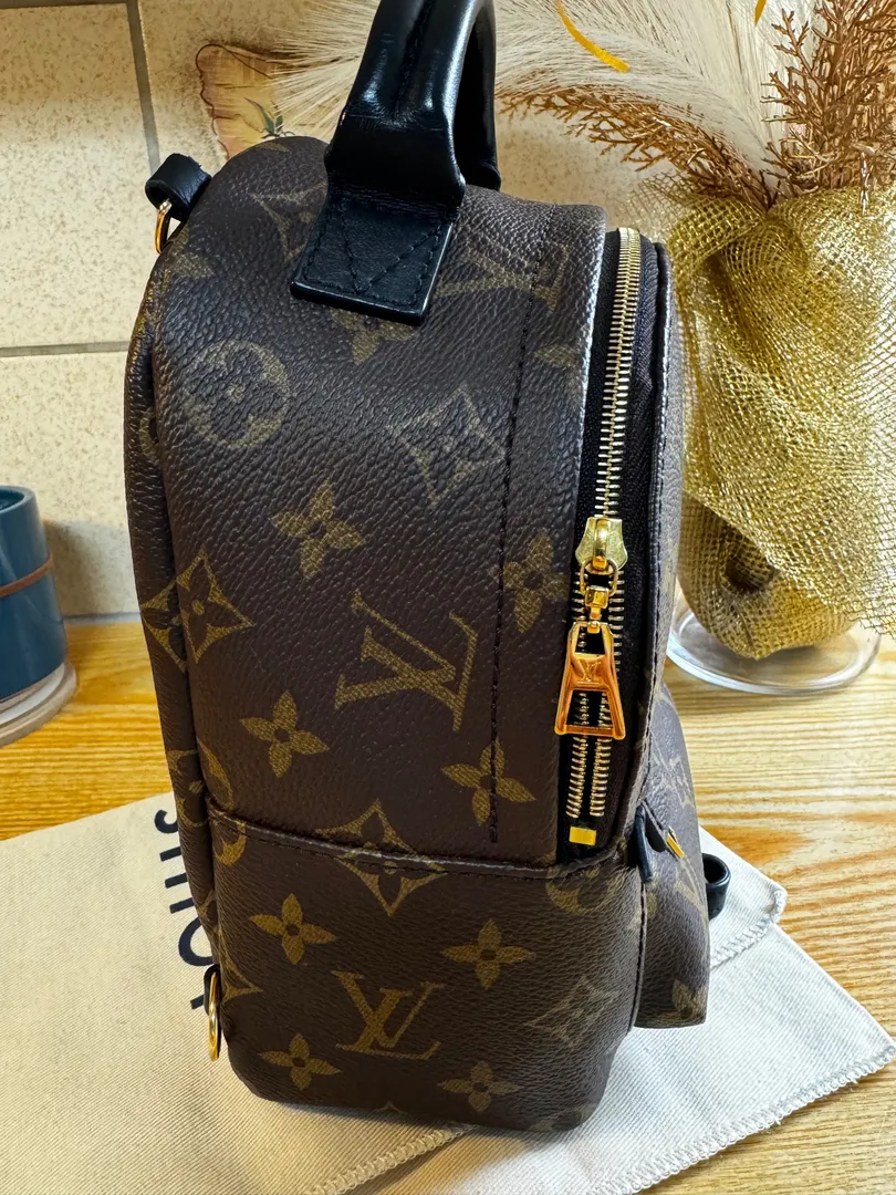 LV Palm Spring Mini