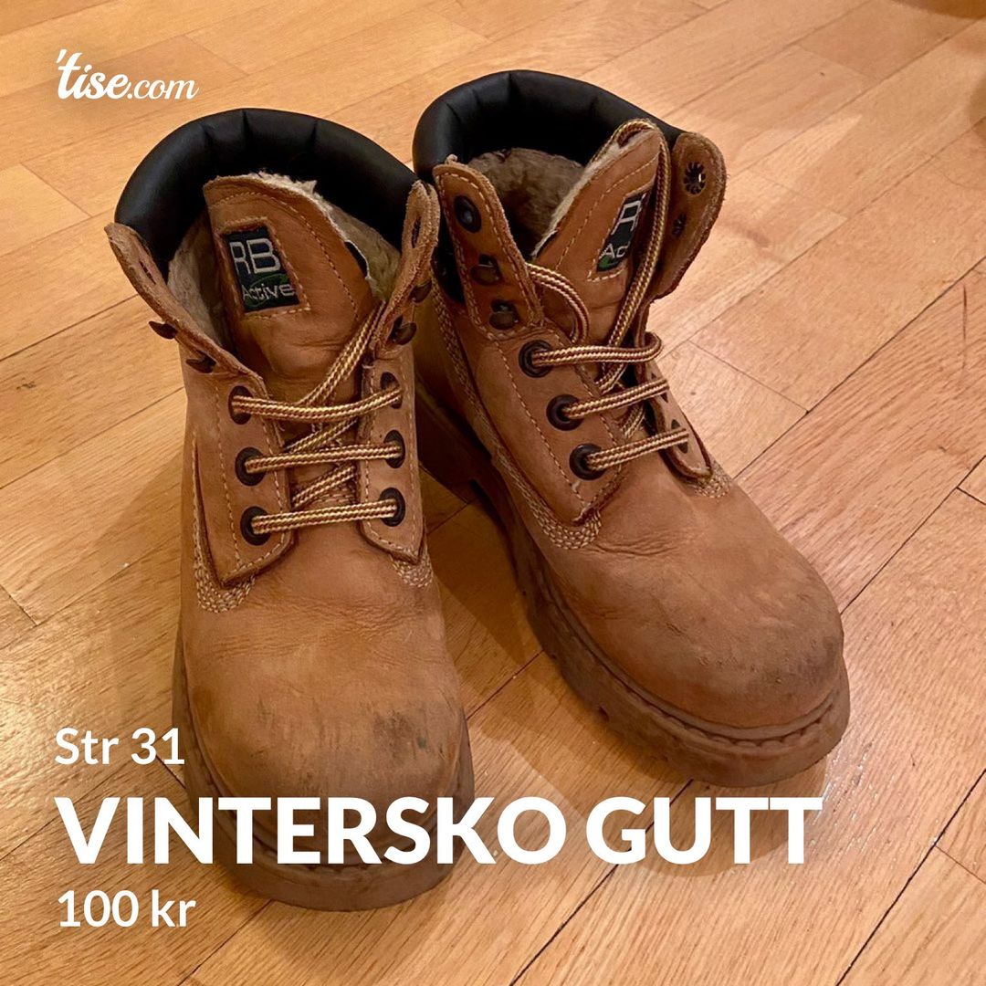 Vintersko gutt