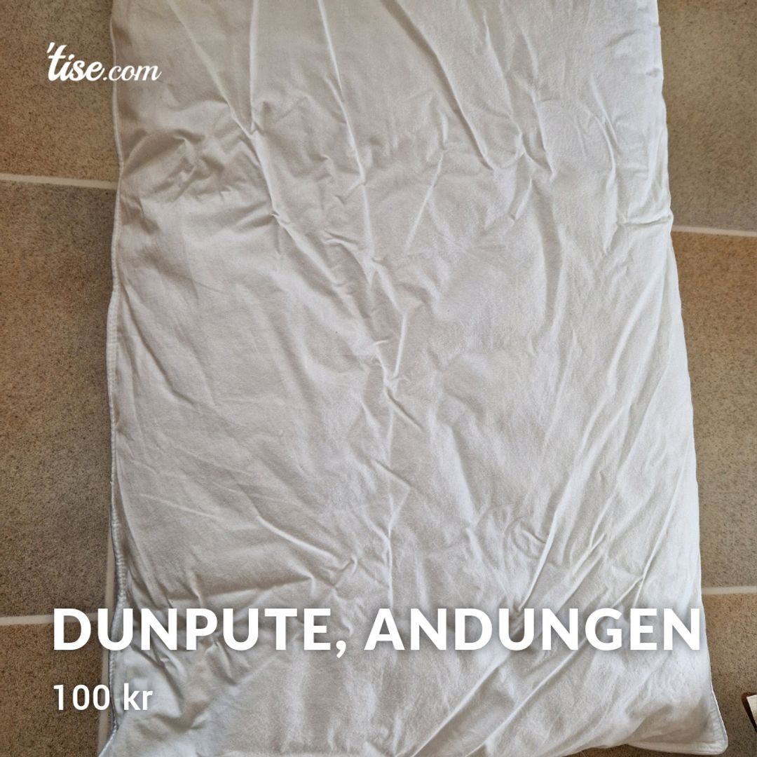 Dunpute Andungen