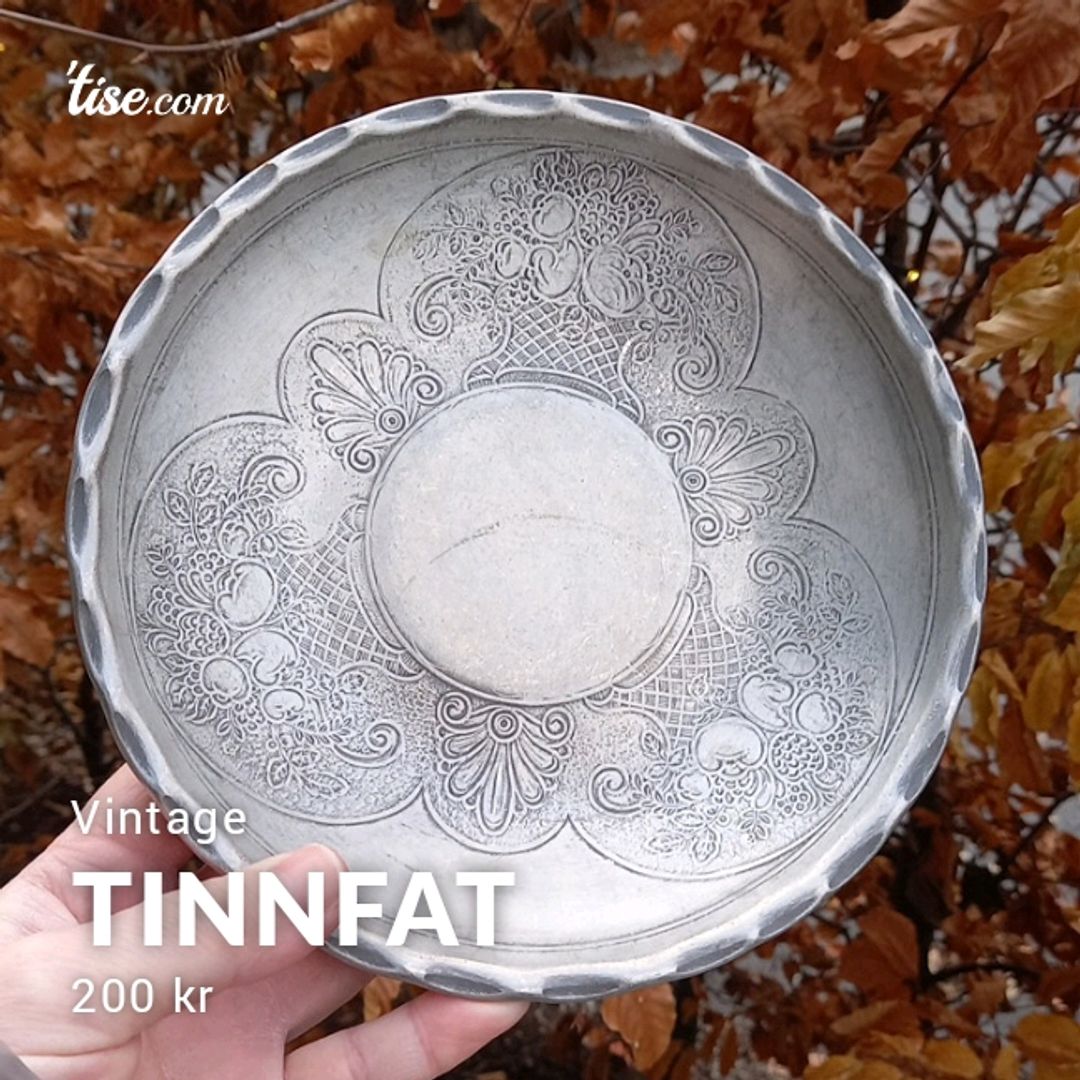 Tinnfat