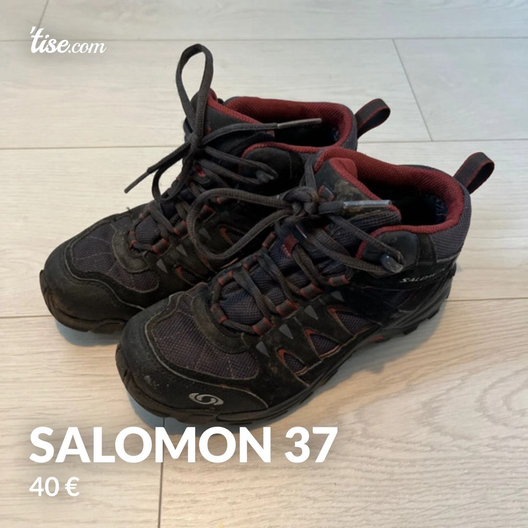 Salomon 37