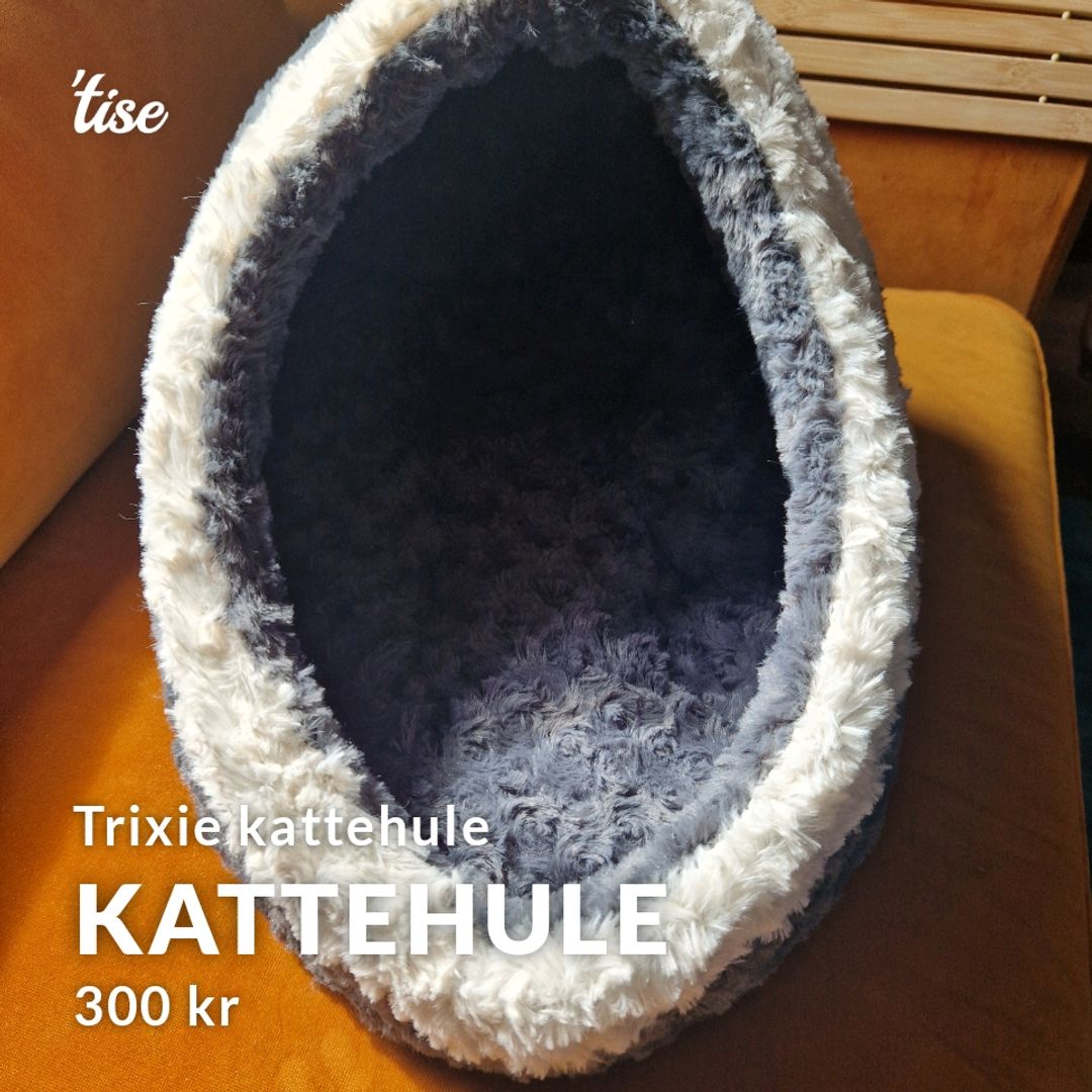 Kattehule