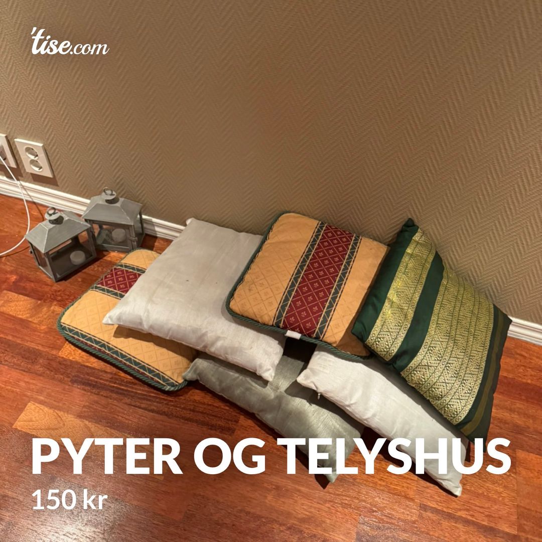 Pyter og Telyshus