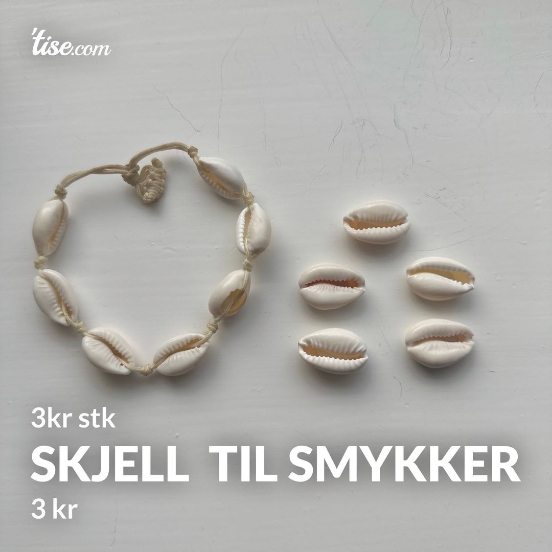 Skjell  til smykker