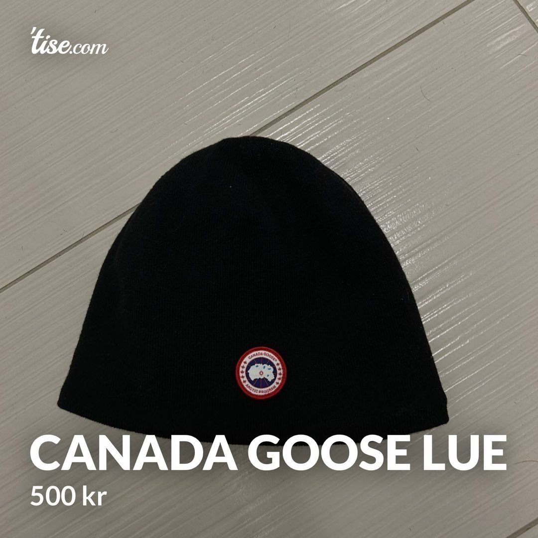 Canada goose lue