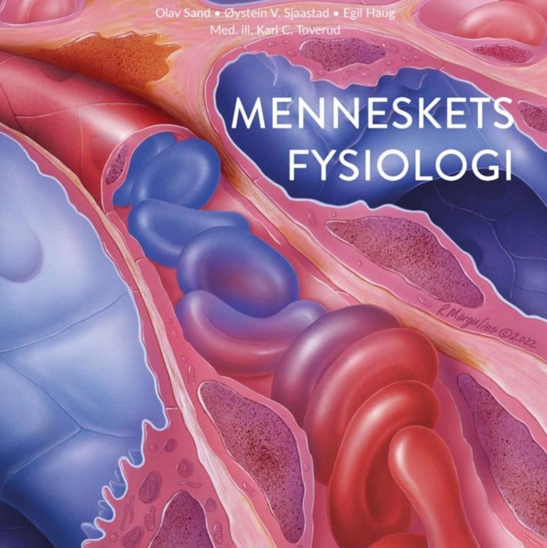 Menneskenets fyisolo