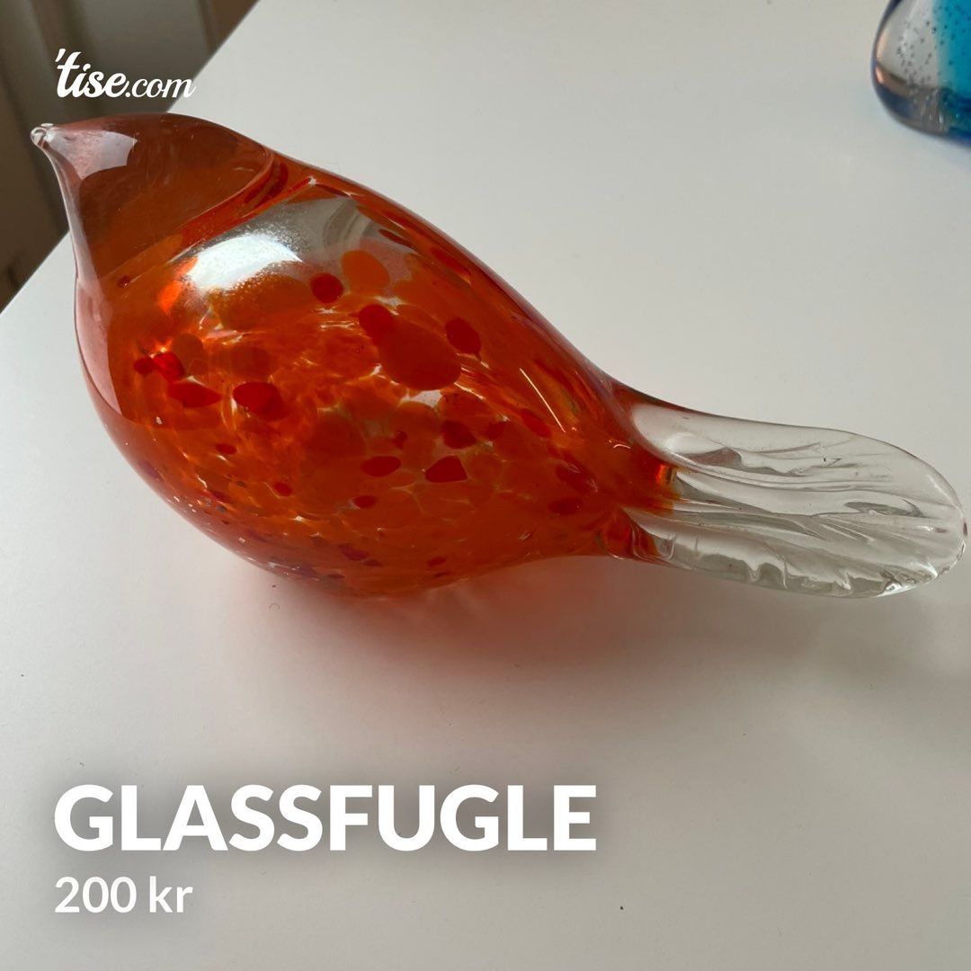 glassfugle