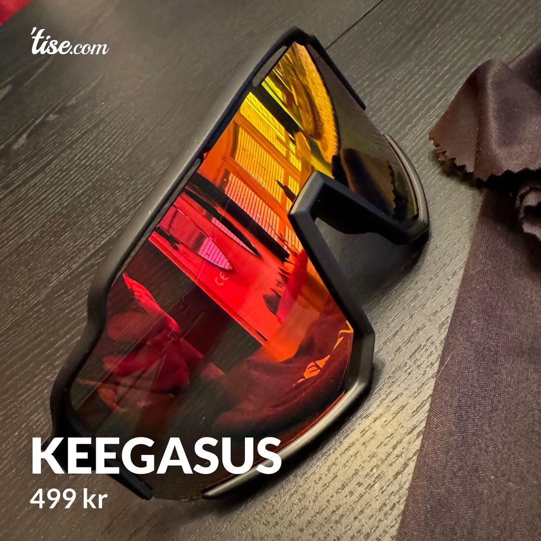 KEEGASUS