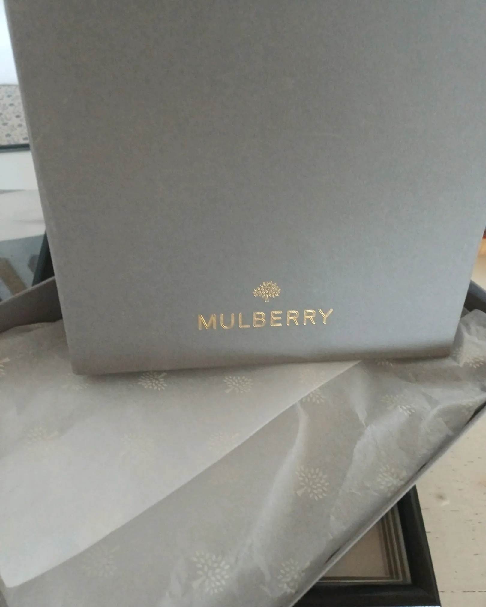 Mulberry Clutch