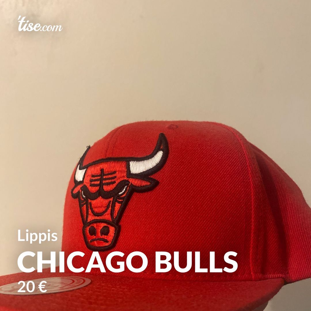 Chicago bulls