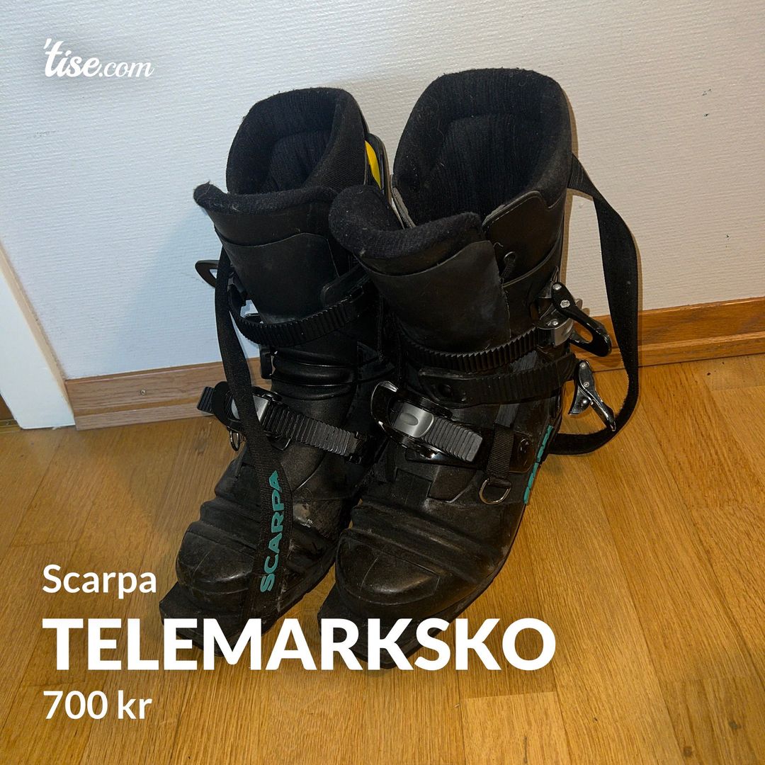 Telemarksko