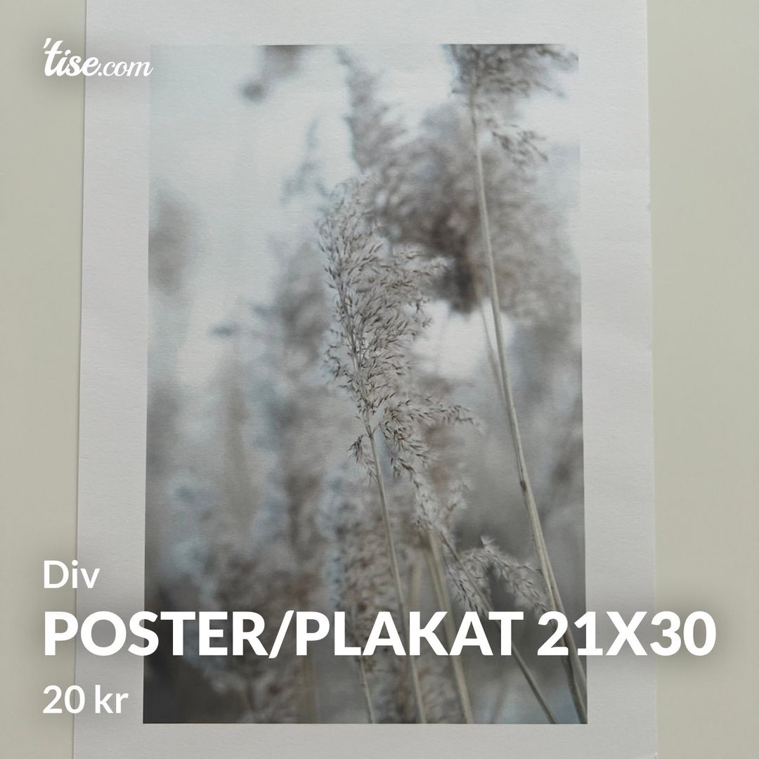 Poster/plakat 21x30