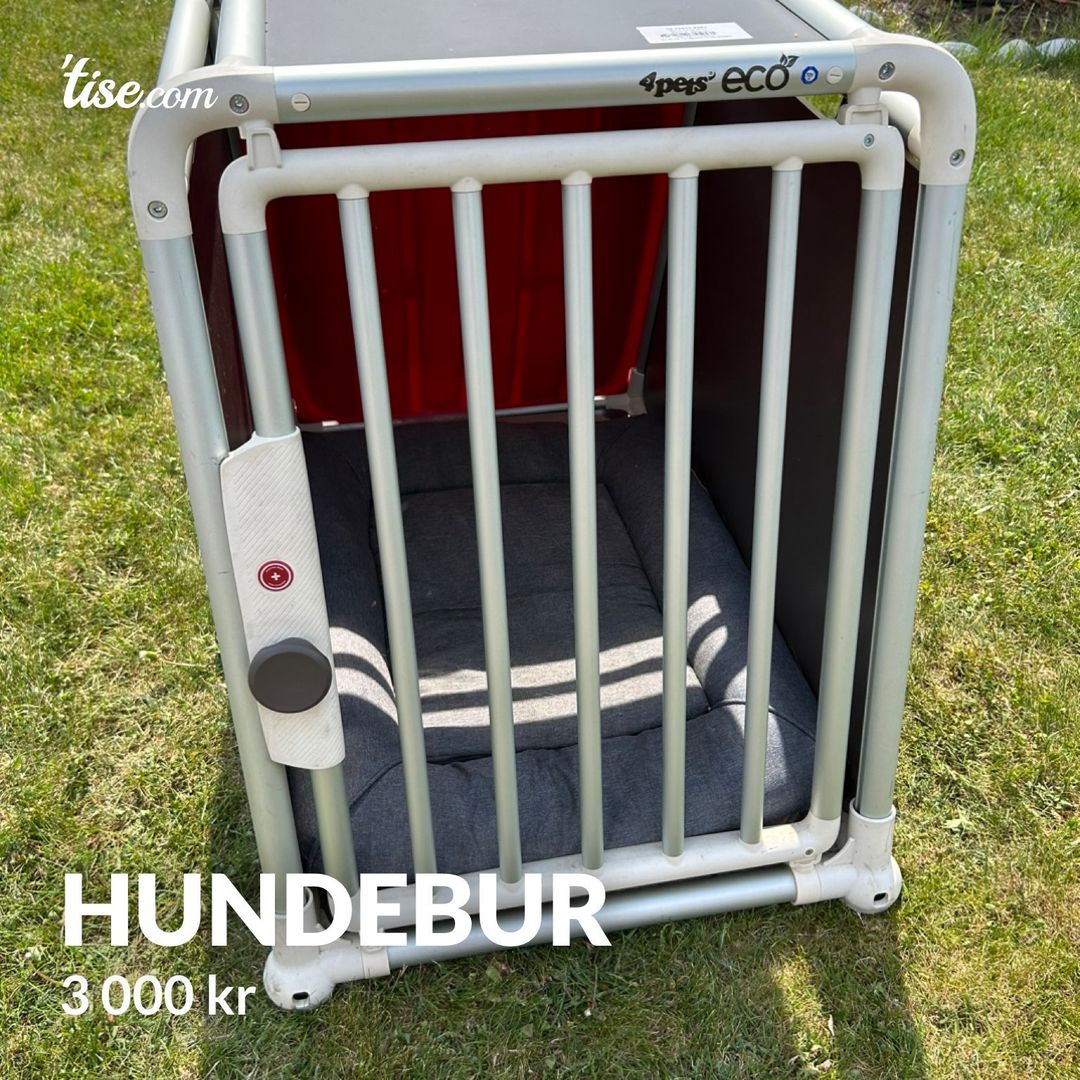 Hundebur