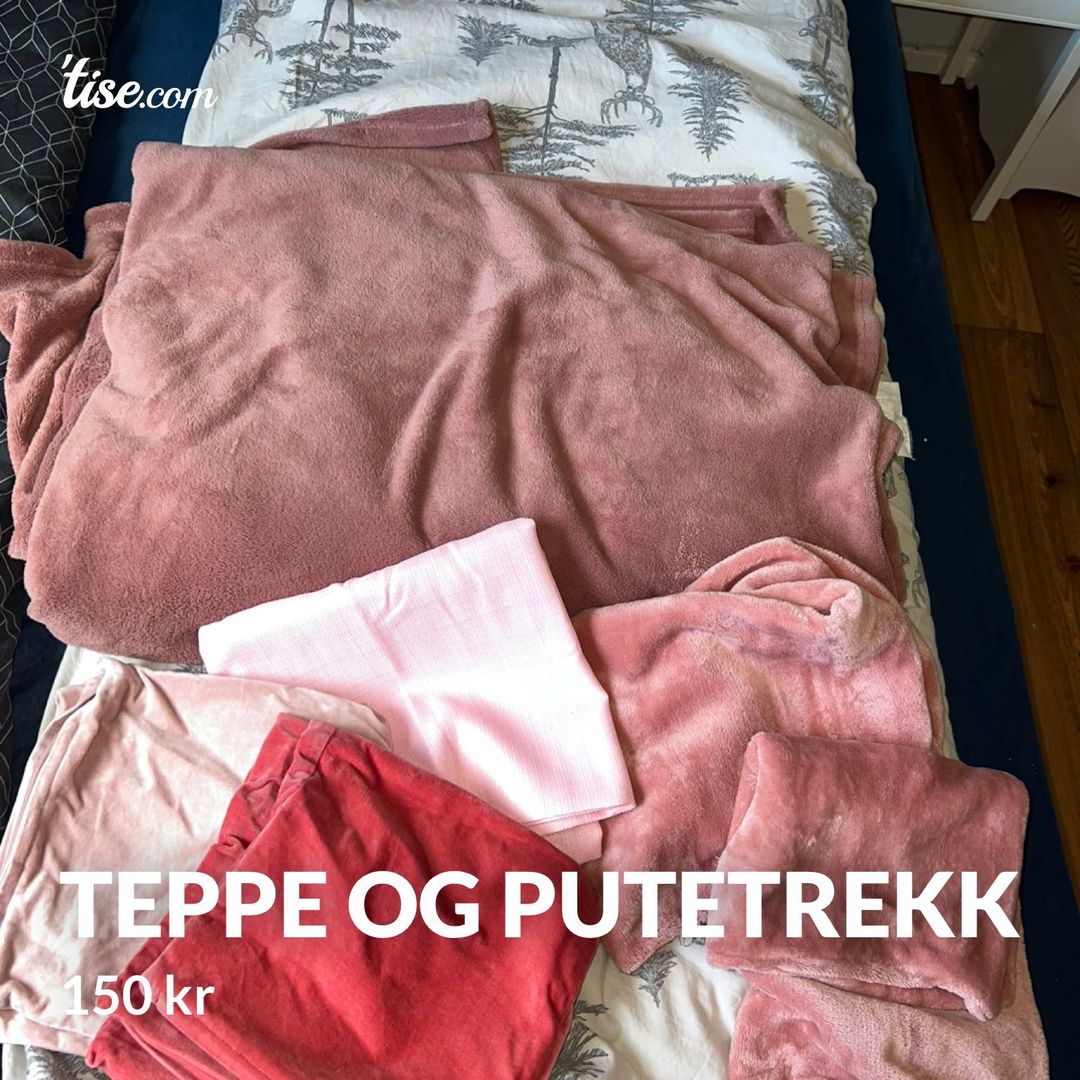 Teppe og putetrekk