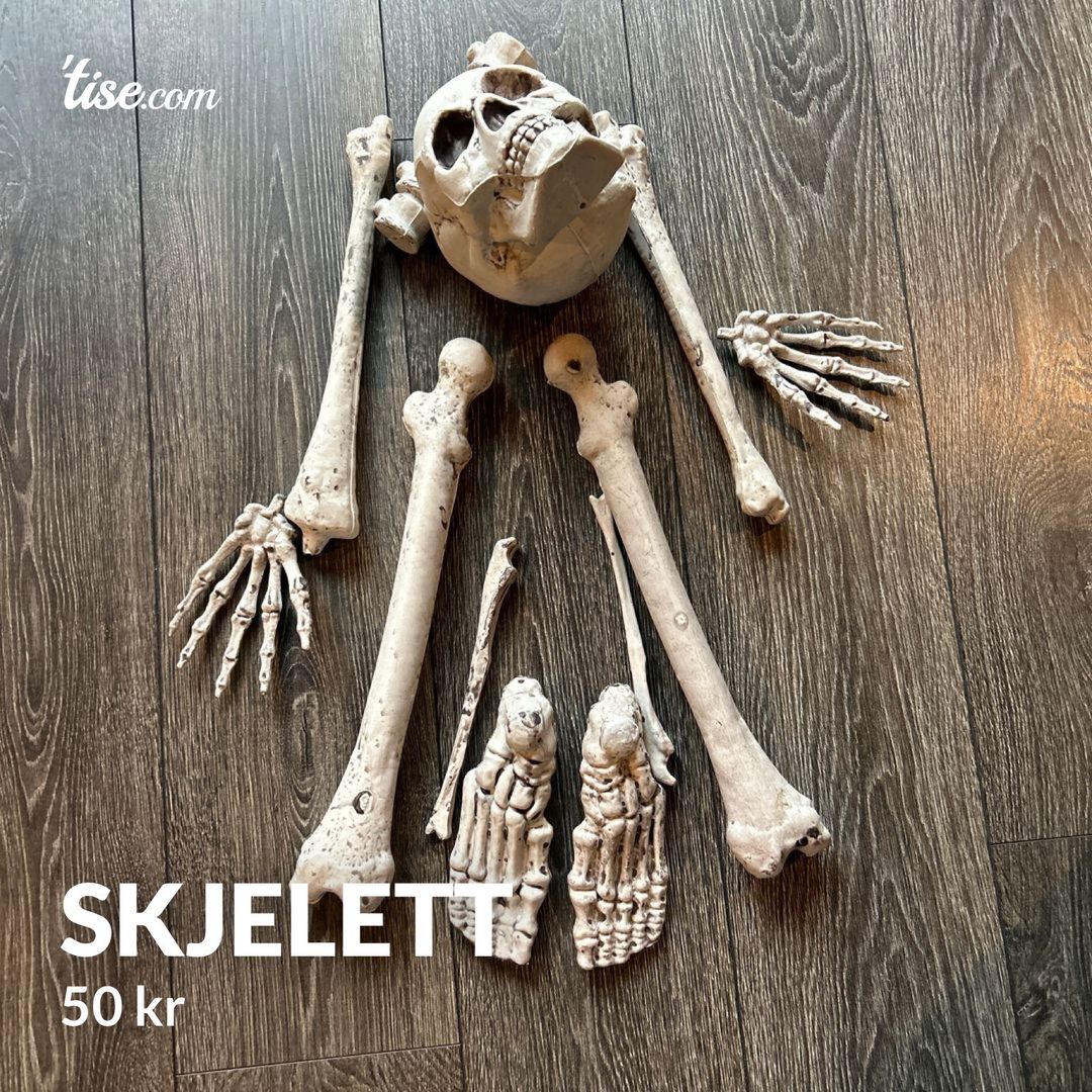 Skjelett