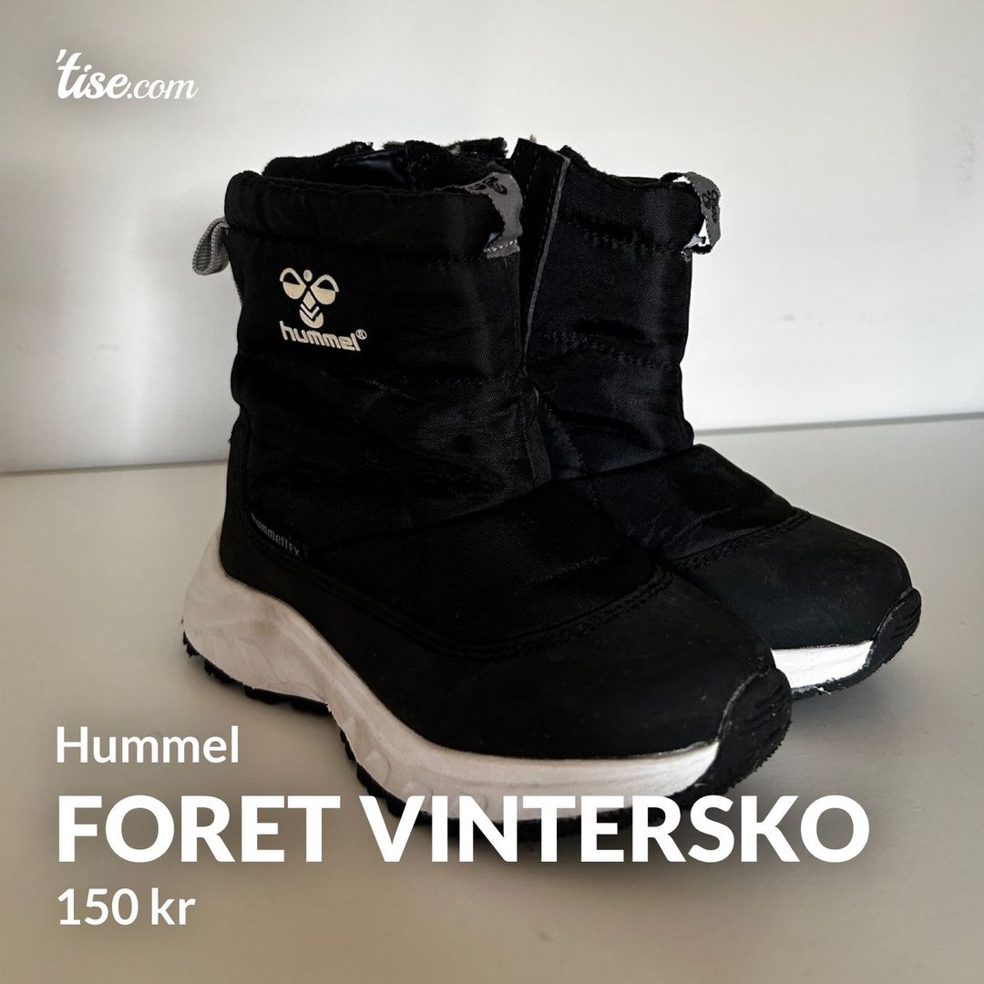 Foret vintersko