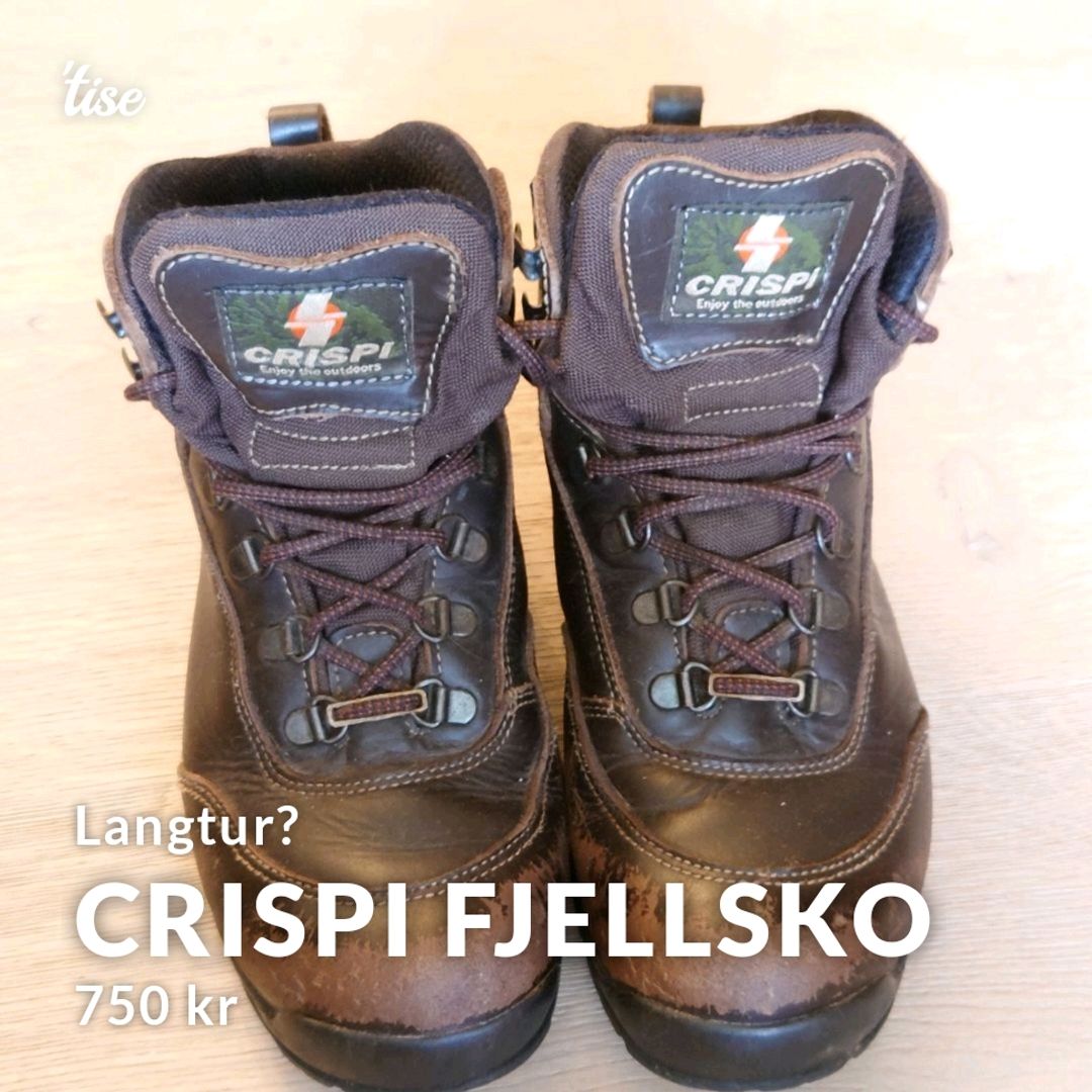 Crispi Fjellsko