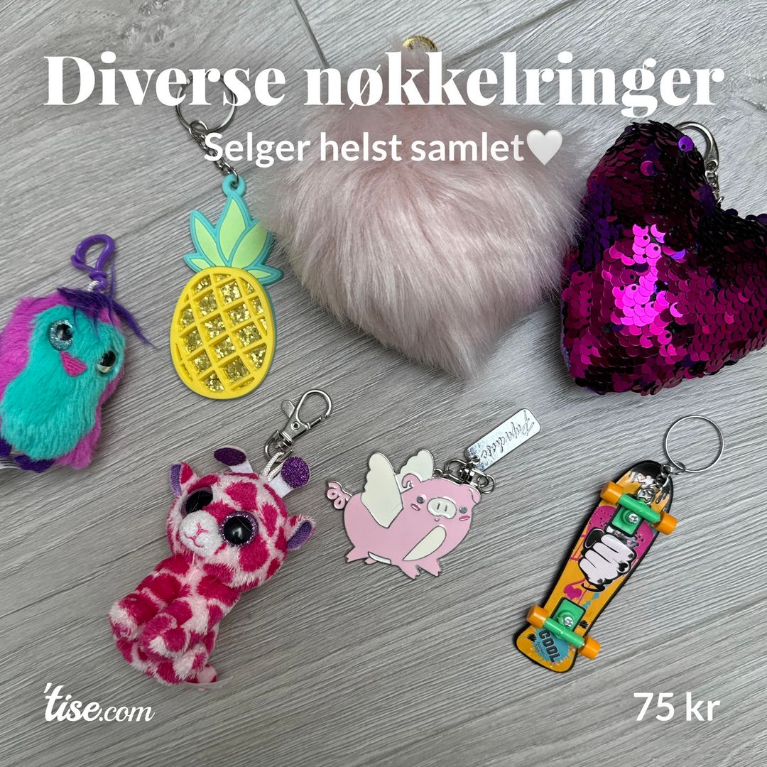 Diverse nøkkelringer