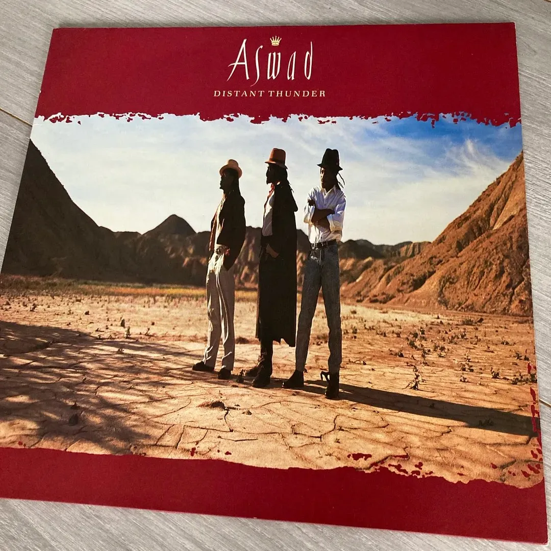 Vinyl/LP Aswad