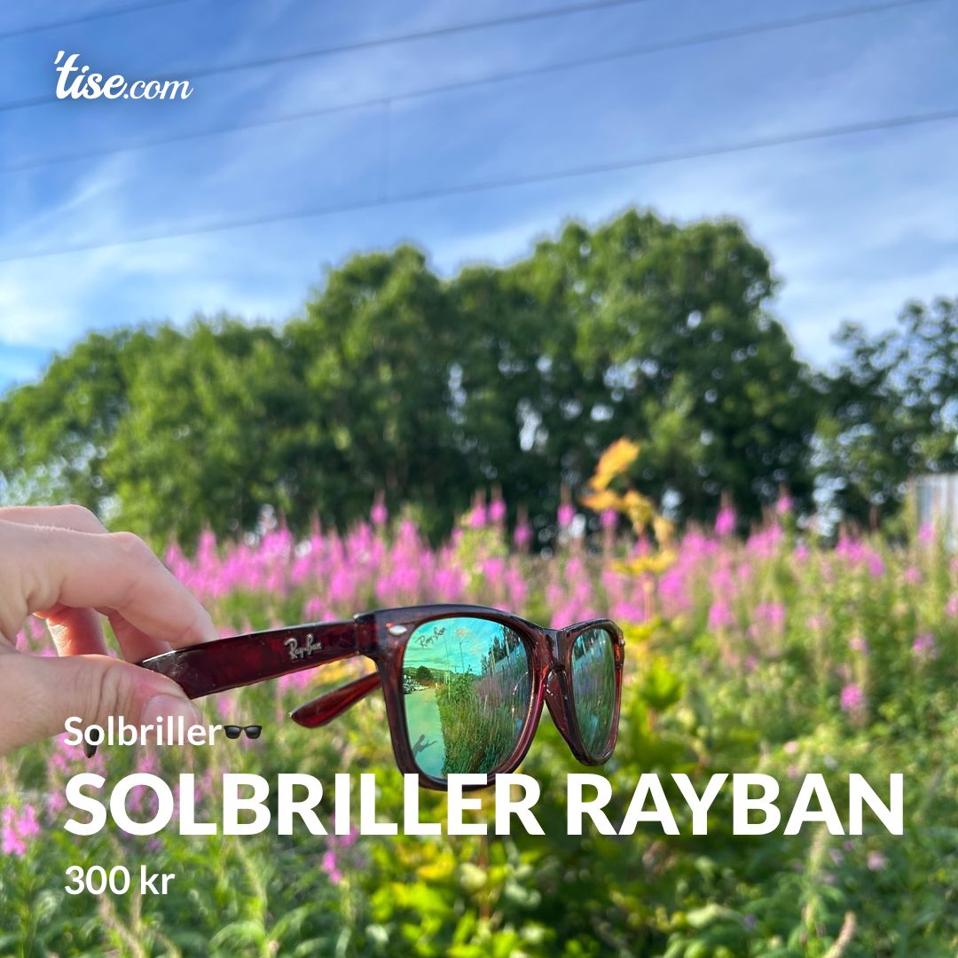 Solbriller rayban