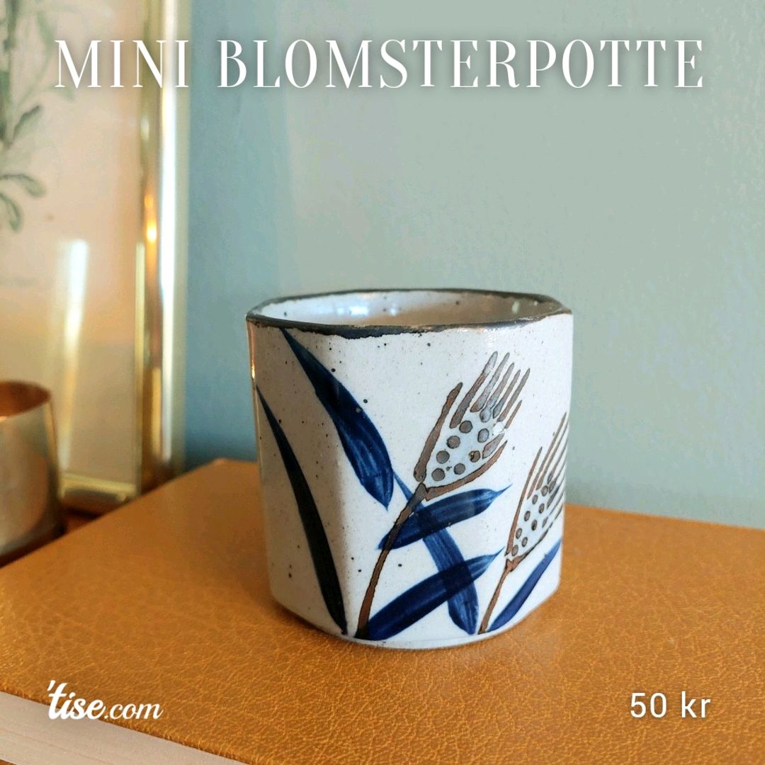 Mini Blomsterpotte