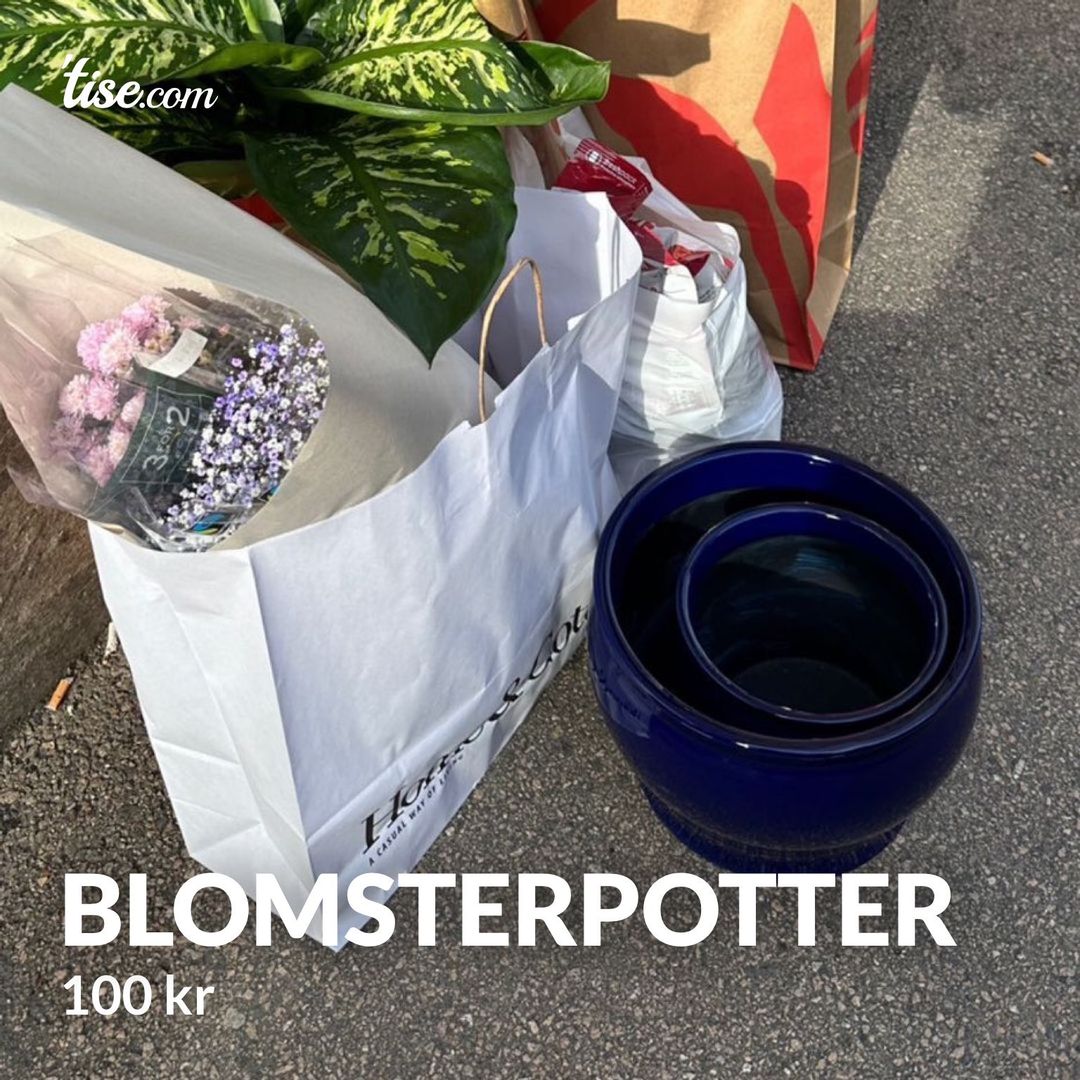 Blomsterpotter