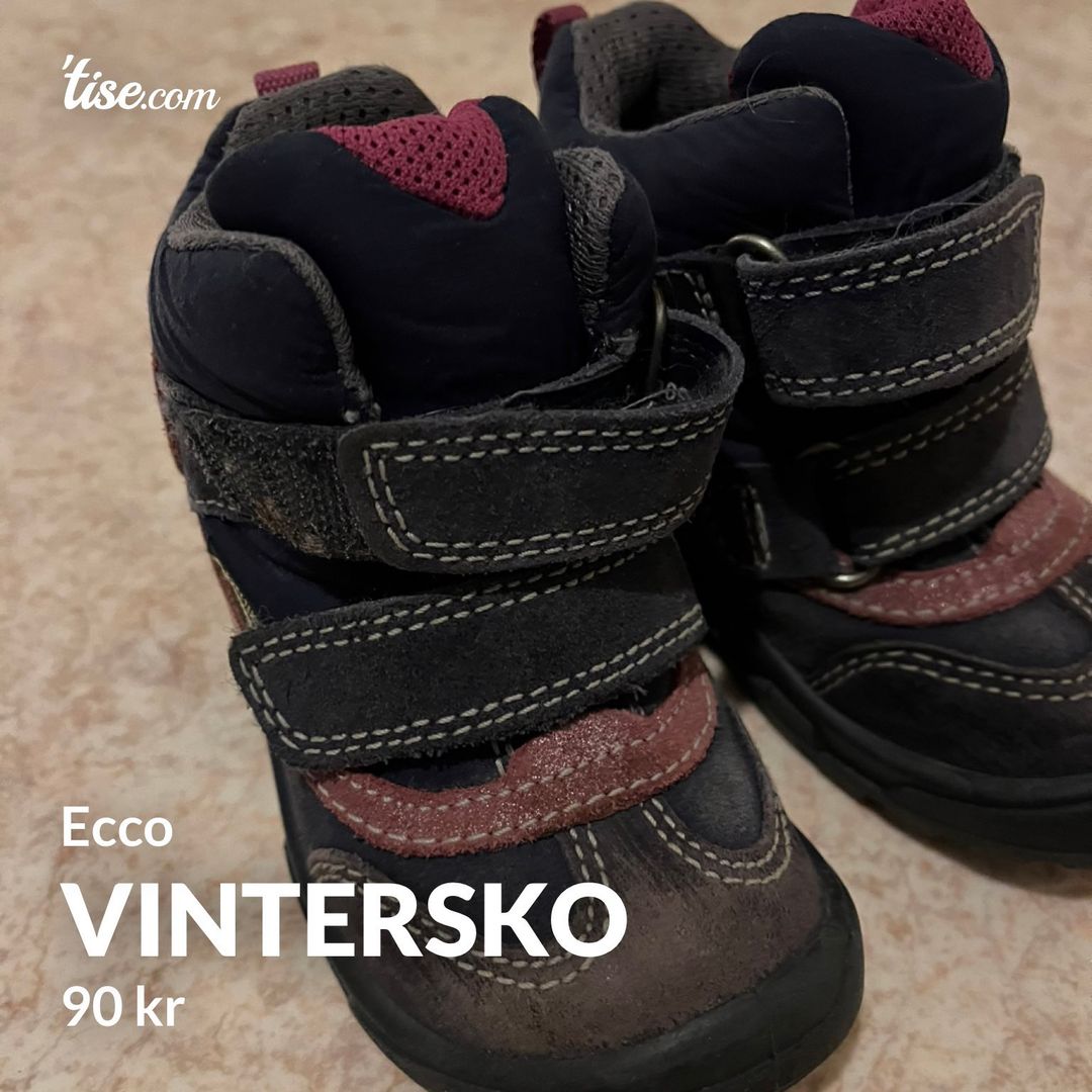 Vintersko