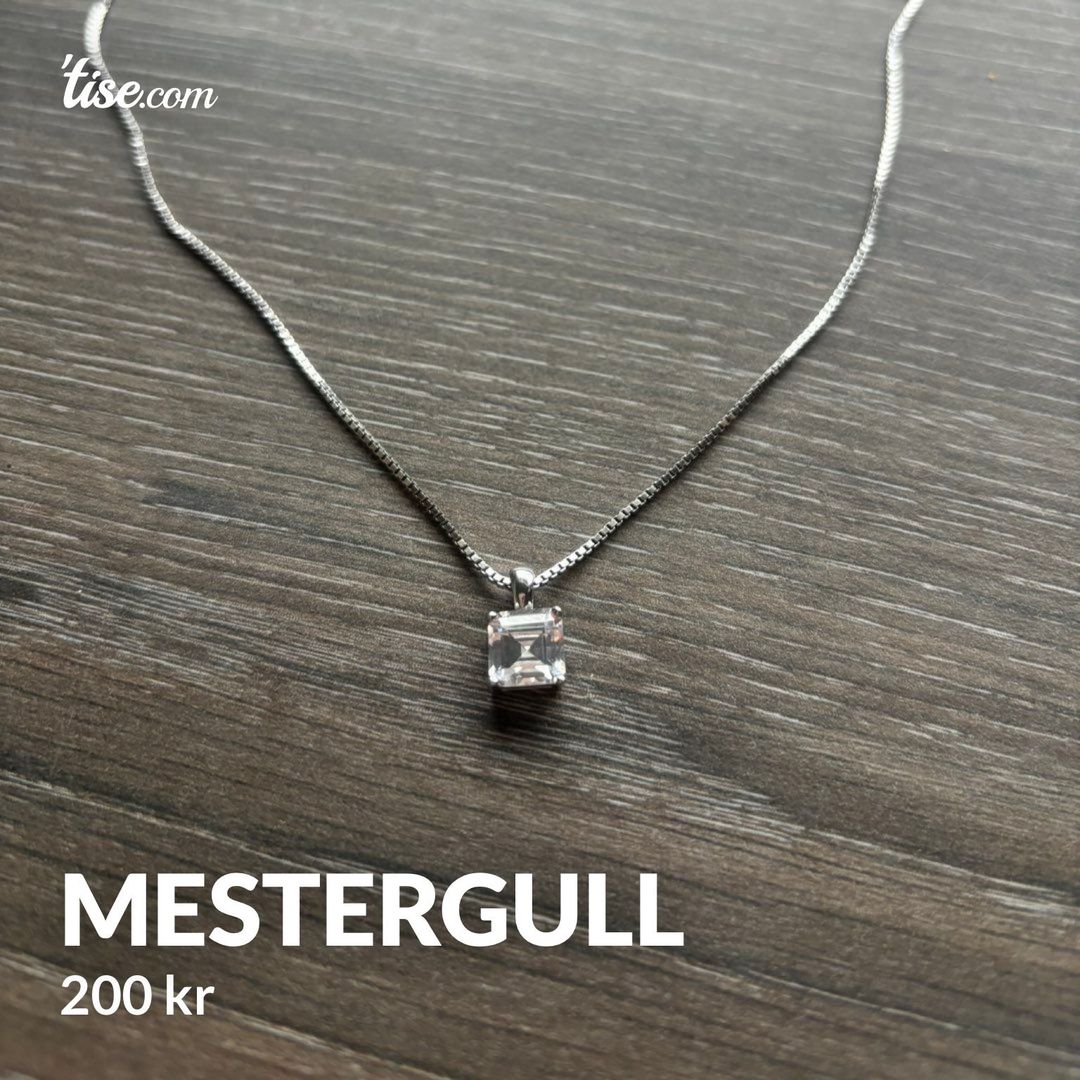 Mestergull