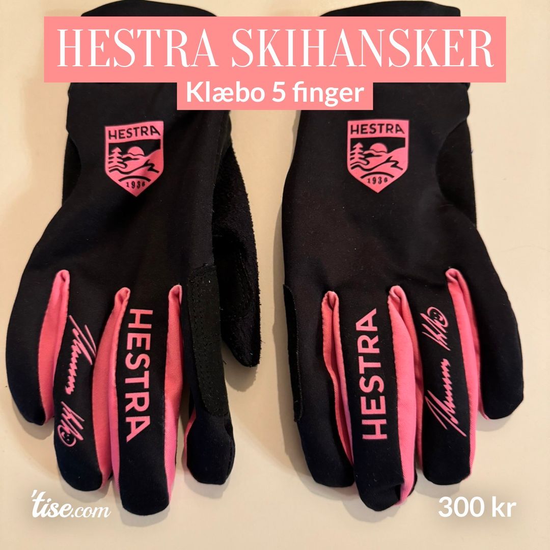 Hestra skihansker