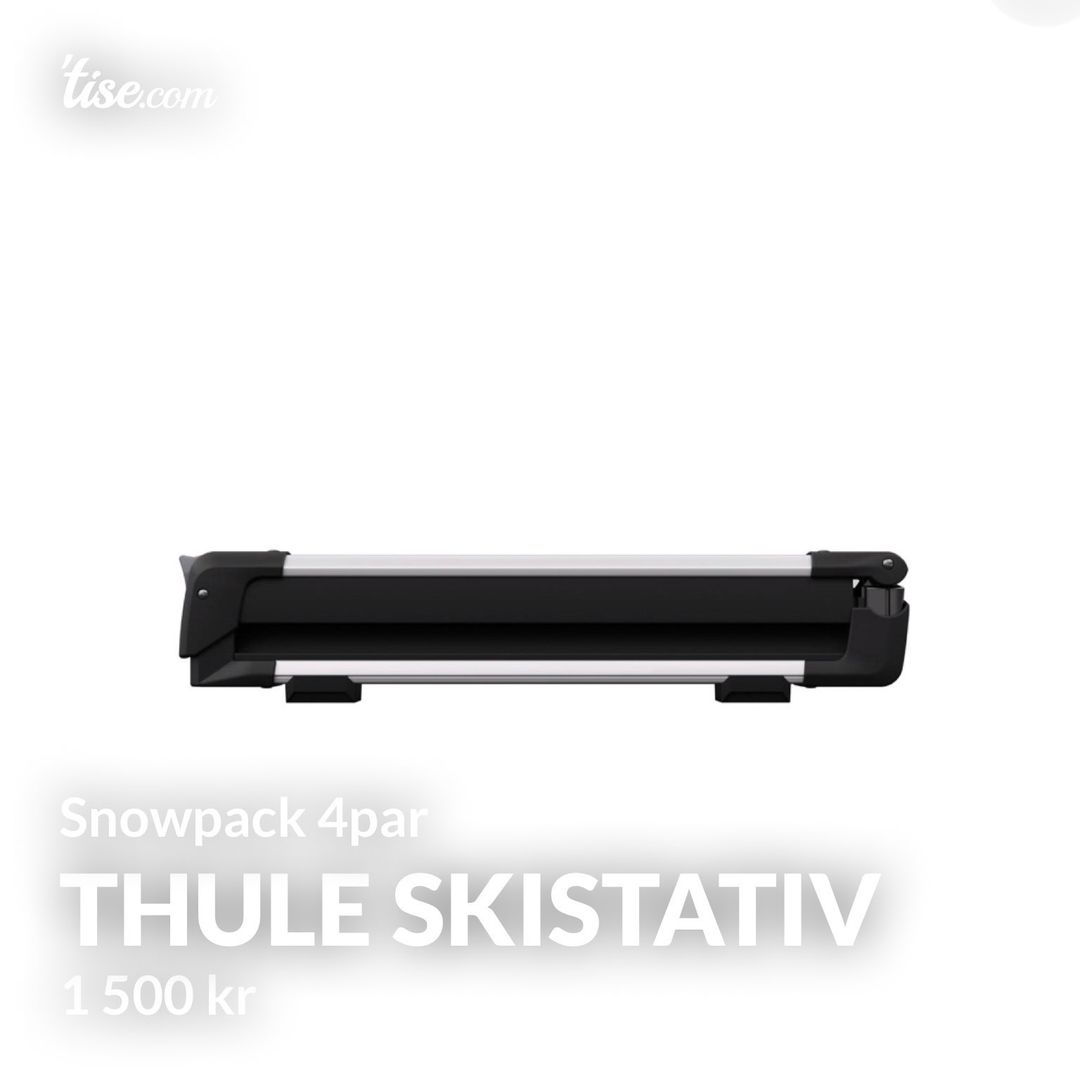 Thule skistativ