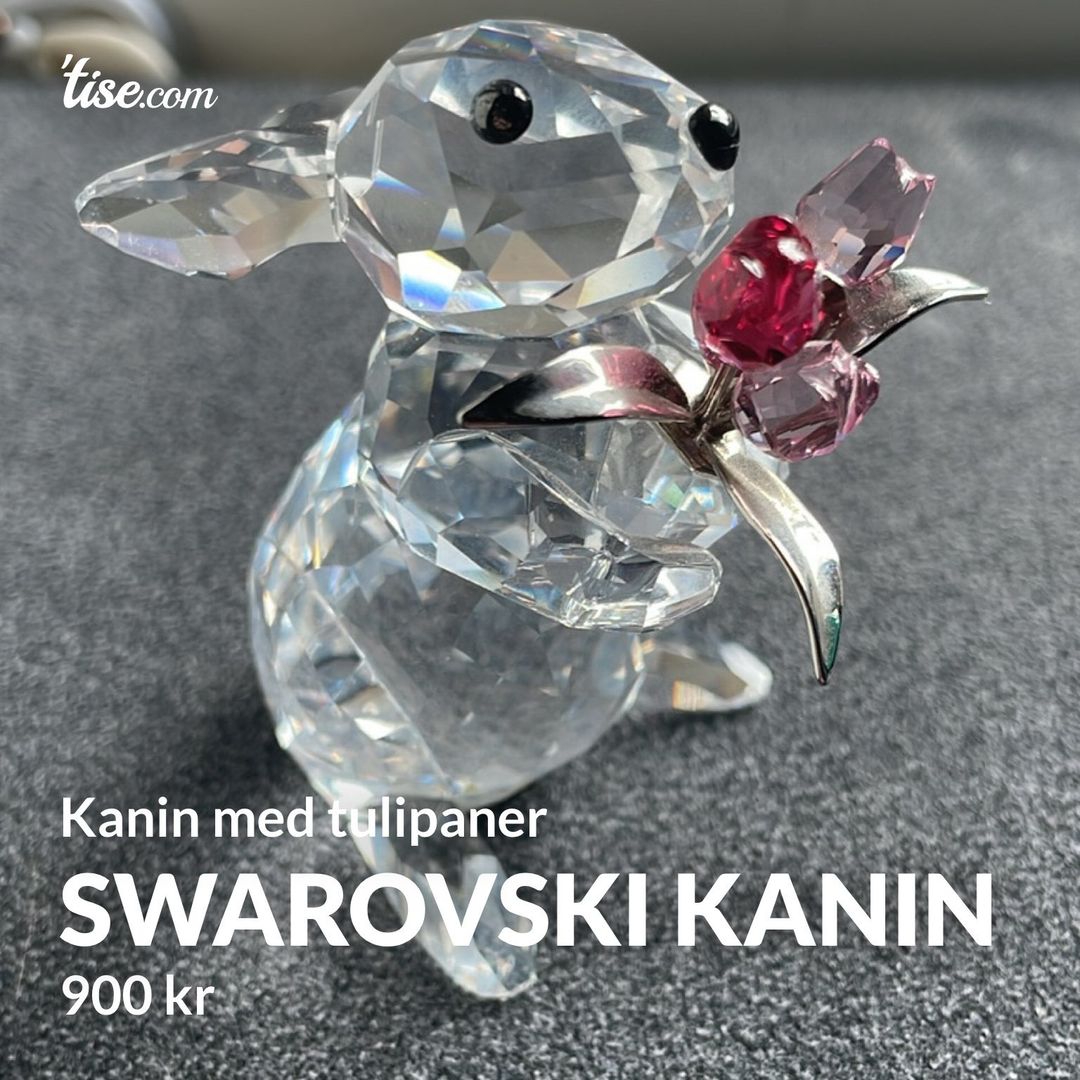 Swarovski kanin