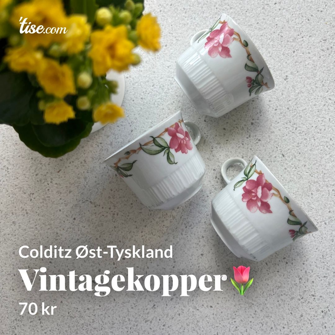 Vintagekopper🌷