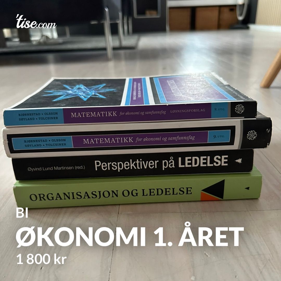 Økonomi 1 året