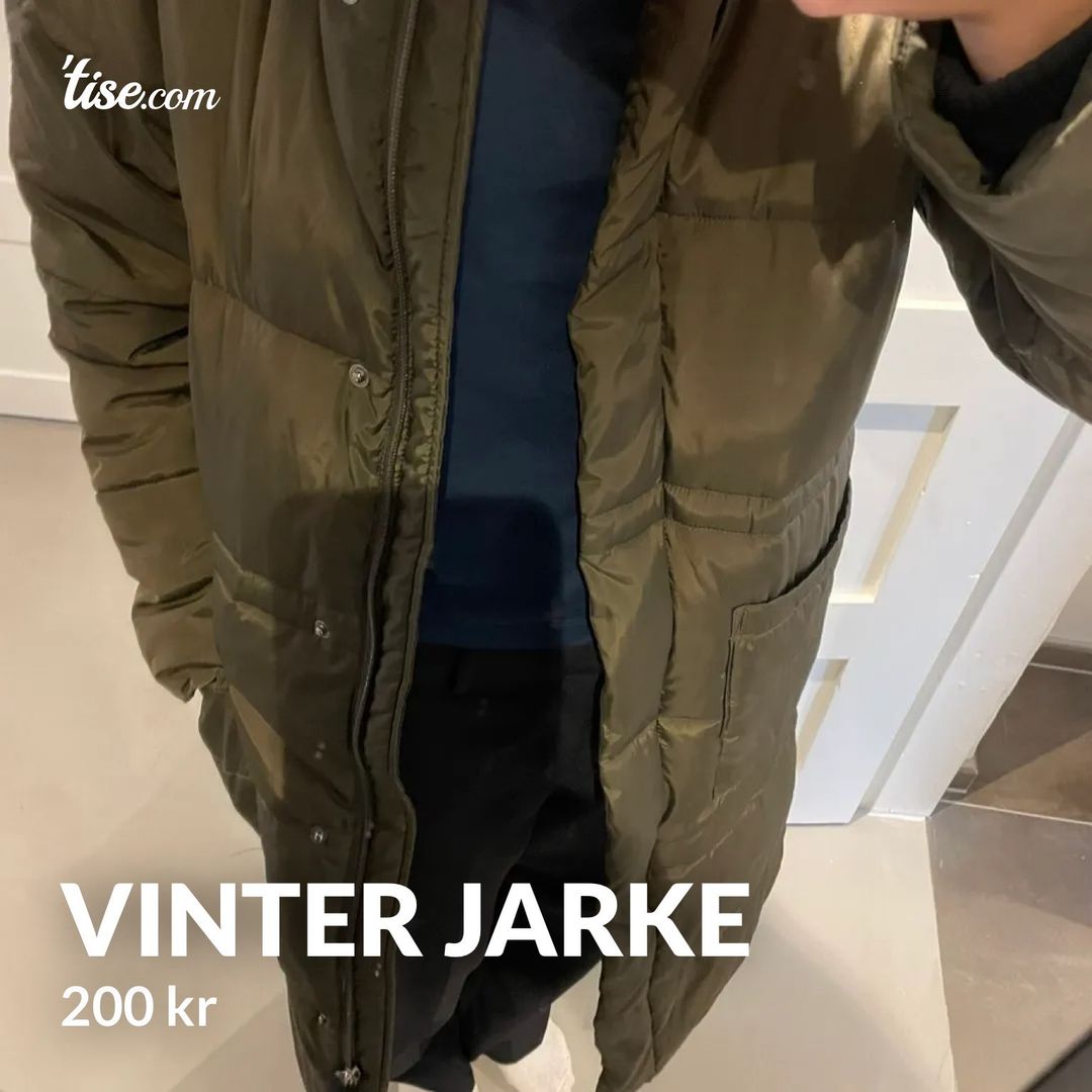 Vinter jarke