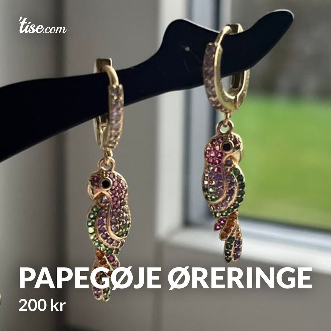 Papegøje øreringe