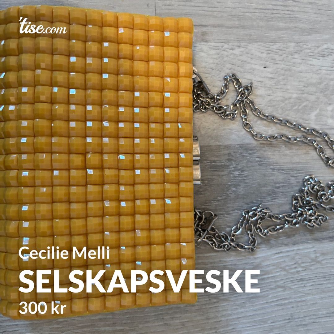 Selskapsveske