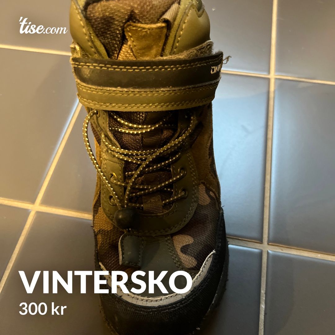 Vintersko