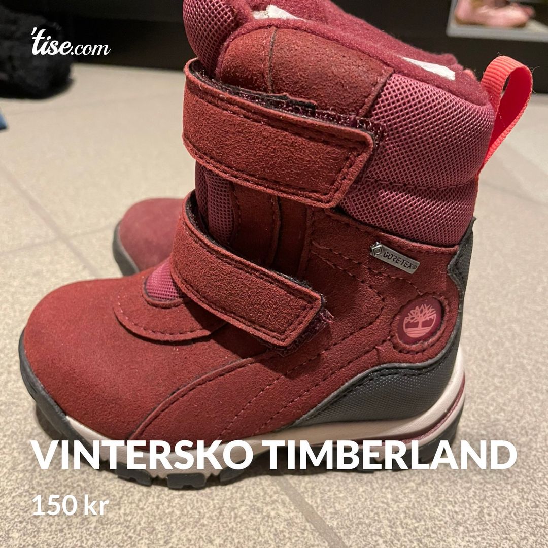 Vintersko timberland