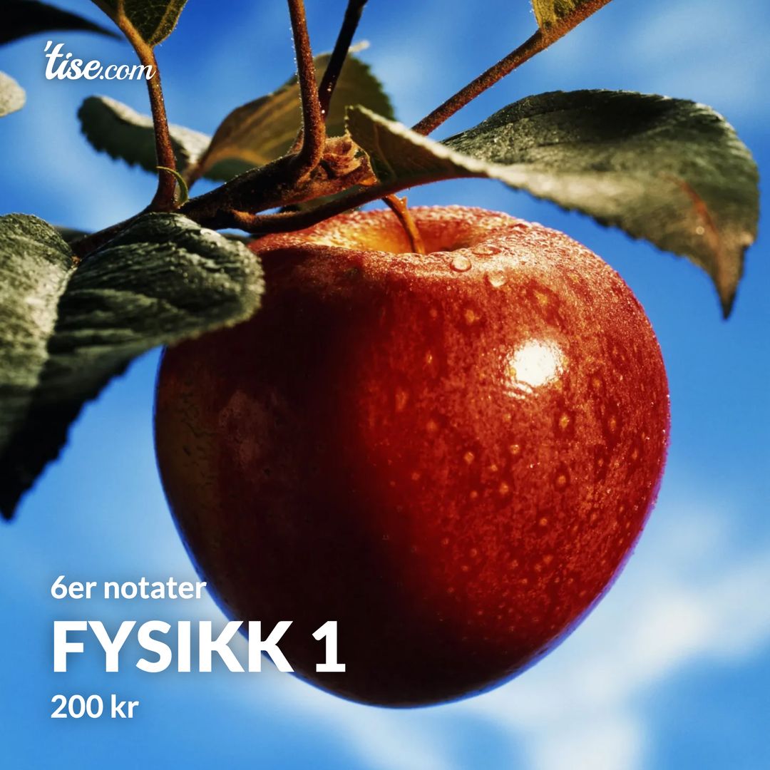 Fysikk 1