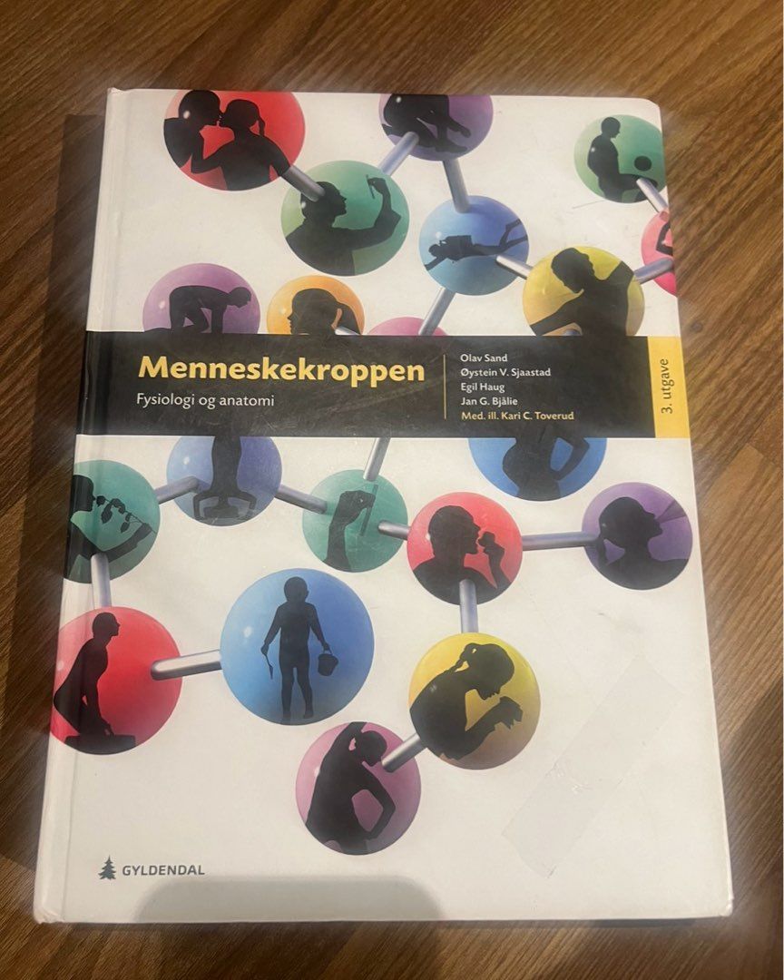 Menneskekroppen