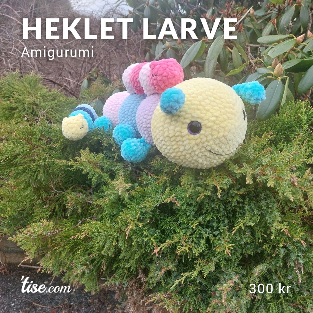 Heklet Larve