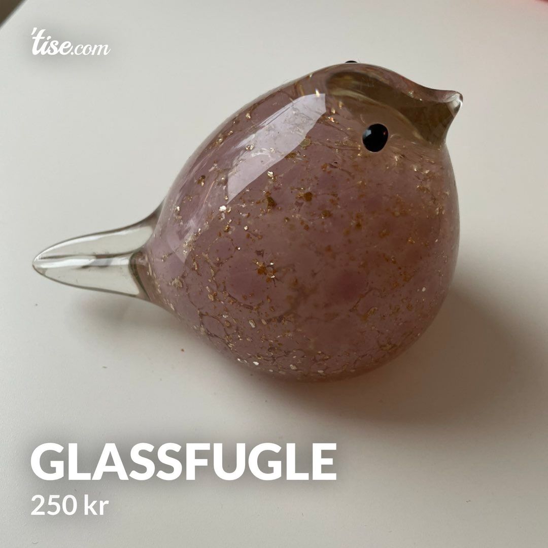 glassfugle