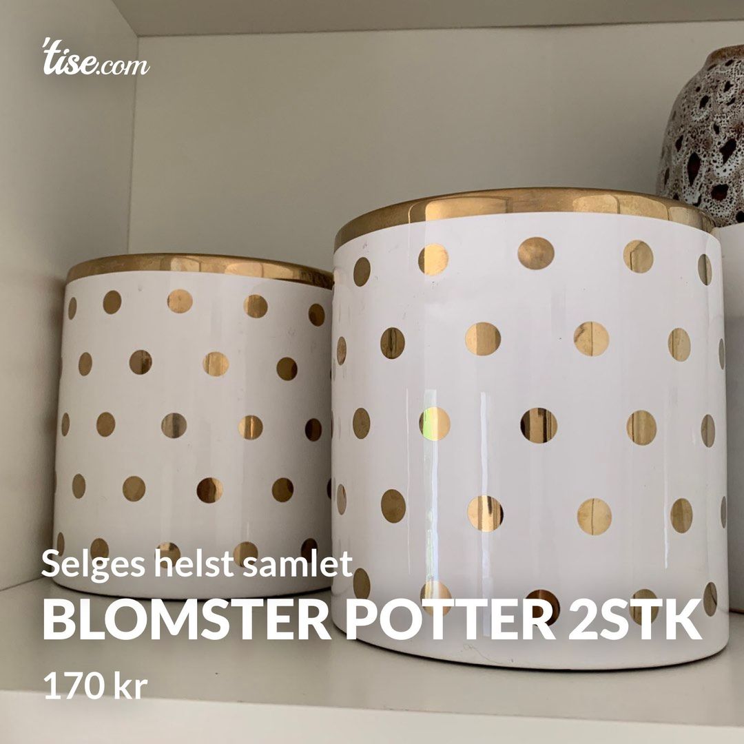 Blomster Potter 2stk