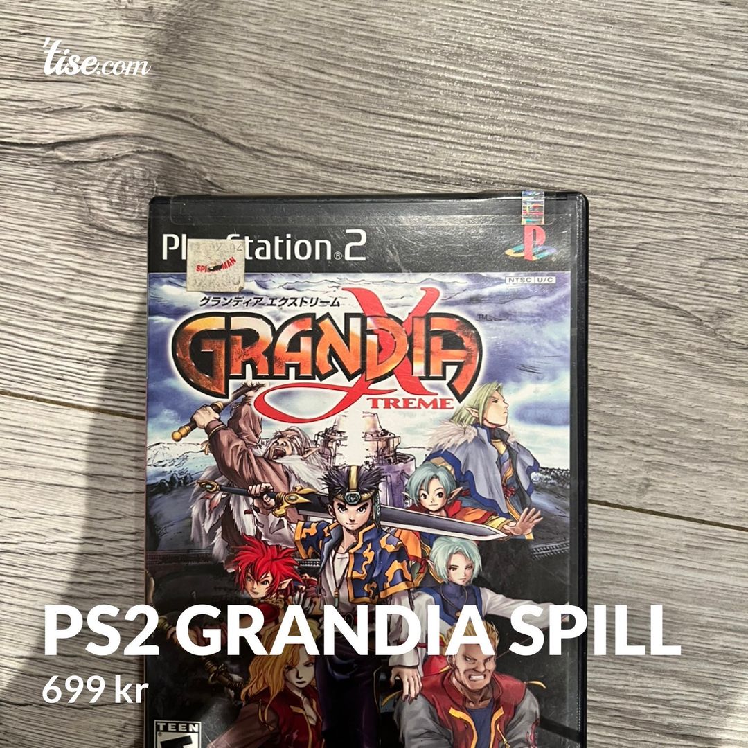 Ps2 Grandia spill