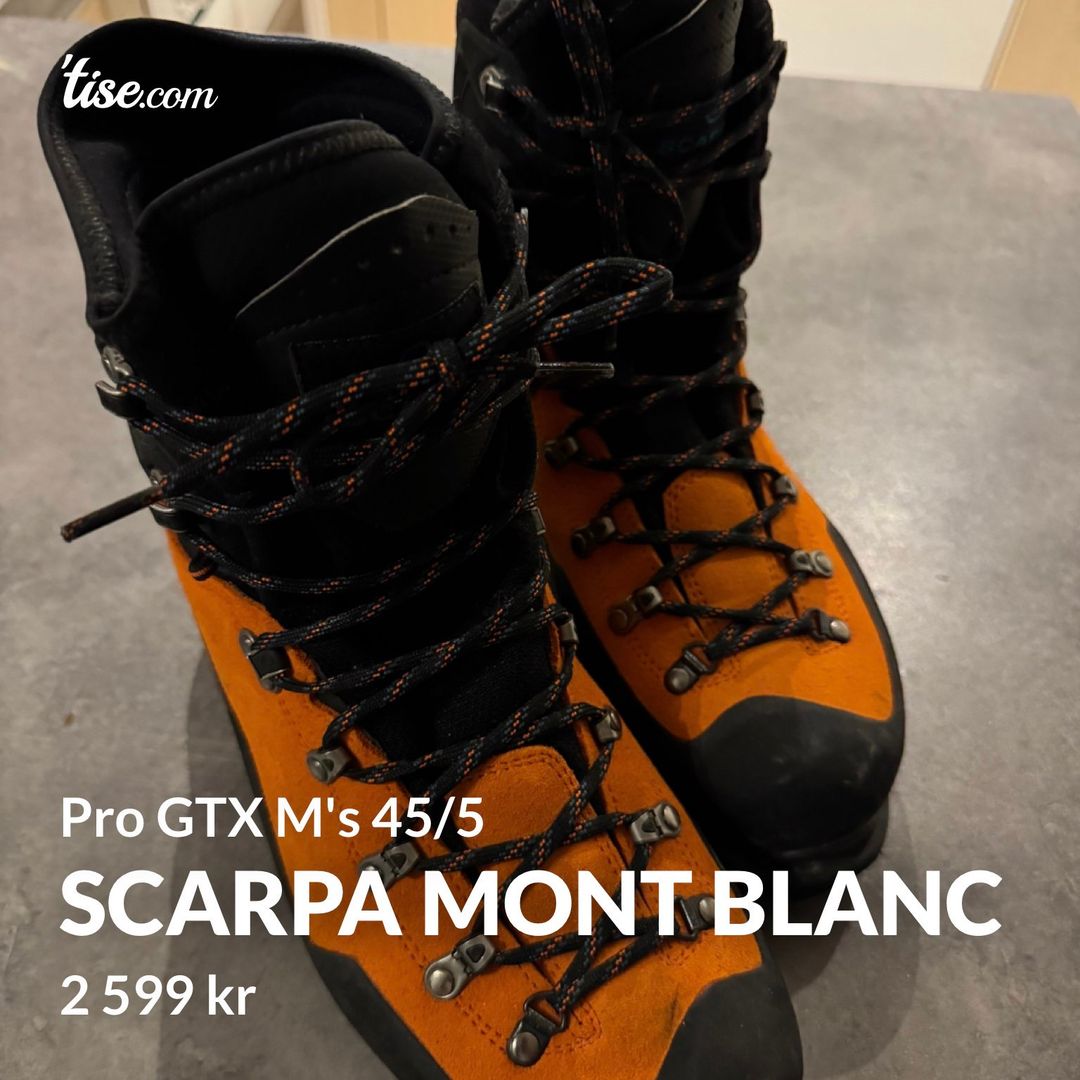 Scarpa Mont Blanc