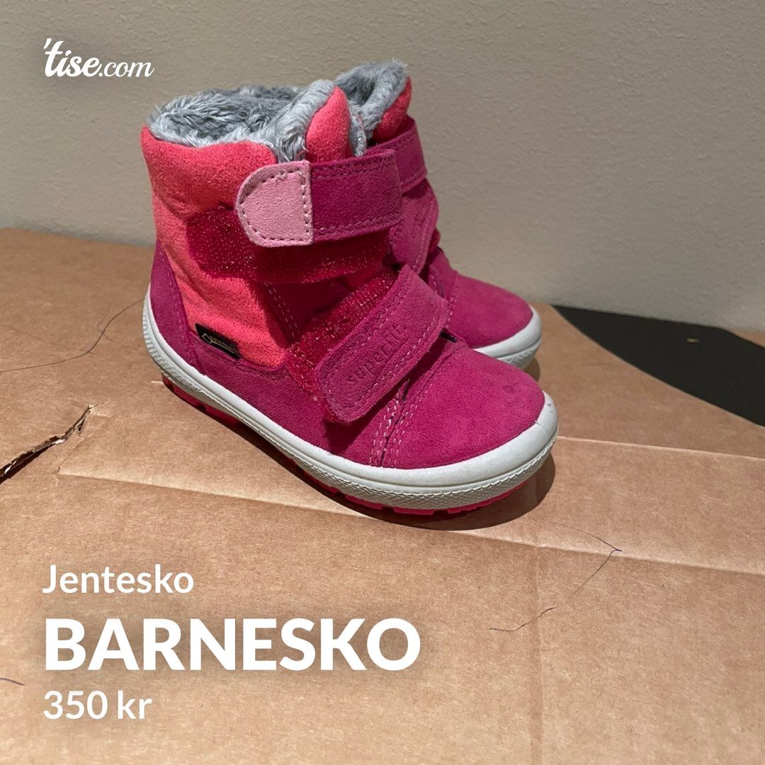 Barnesko