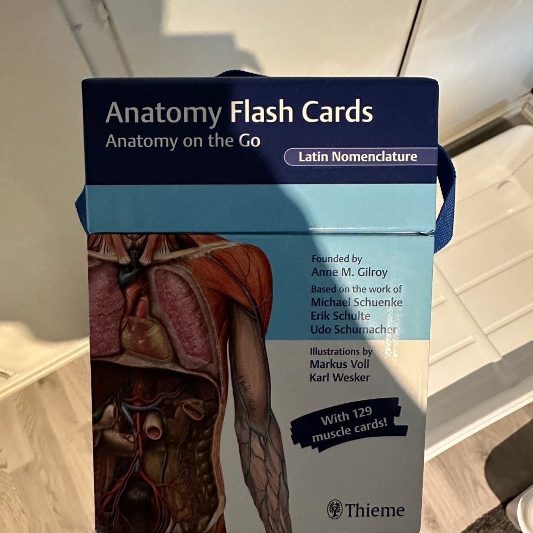 Anatomi flash cards