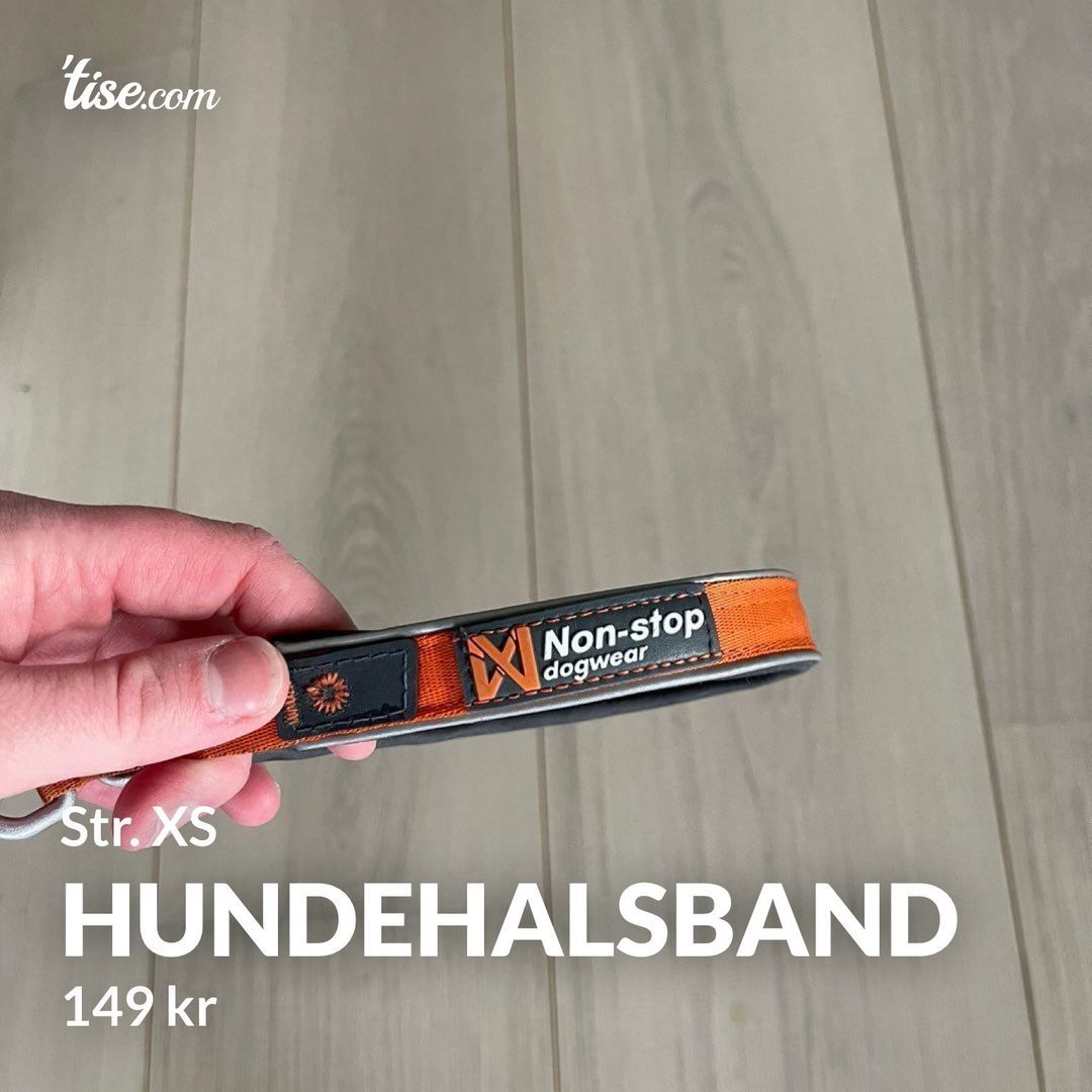 Hundehalsband