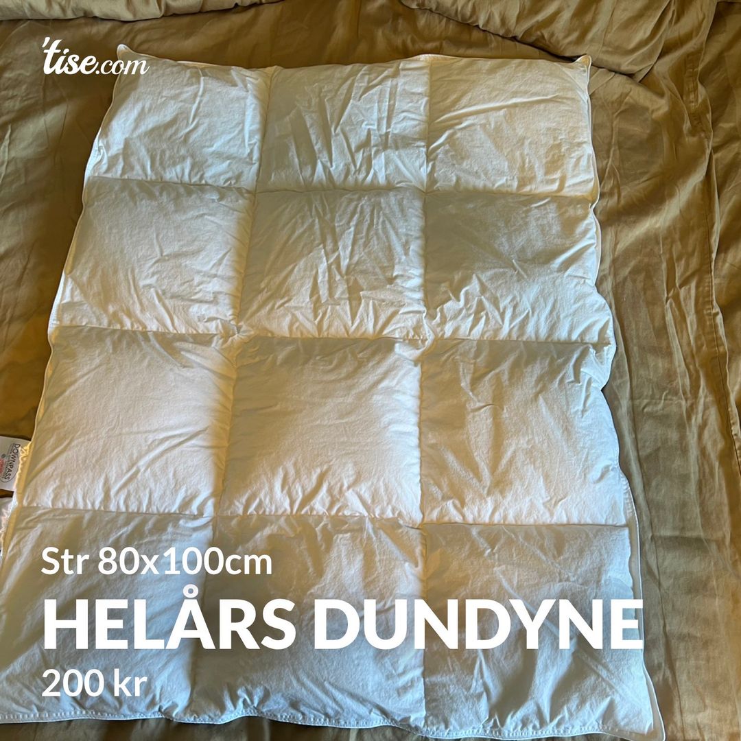 Helårs dundyne